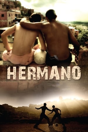 Hermano 2010 Dual Audio | Dubbed Hindi Movie BluRay 300MB