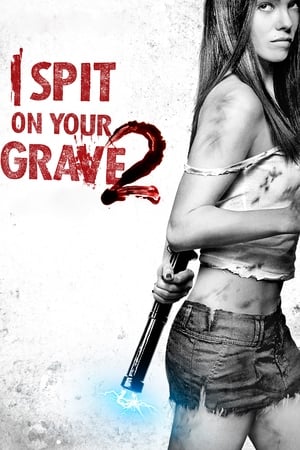 I Spit on Your Grave 2 (2013) Dual Audio HDRip | Dubbed Hindi Movie – 480p