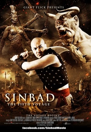 Sinbad: The Fifth Voyage (2014) Dual Audio | Dubbed Hindi Movie BRRip [700MB]