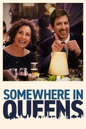 Somewhere in Queens (2022) Dual Audio HDRip | Dubbed Hindi Movie – 480p