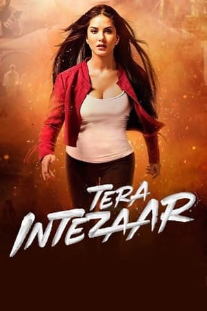Tera Intezaar 2017 Movie | Dubbed Hindi Movie HDRip - [300MB]