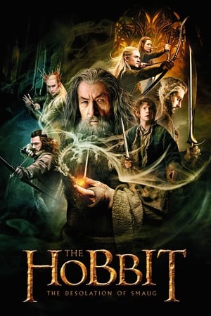 The Hobbit: The Desolation of Smaug (2013) Dubbed BluRay | Dubbed Hindi Movie [1.9GB] Download