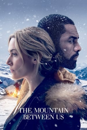 The Mountain Between Us 2017 Dual Audio | Dubbed Hindi Movie Bluray [1GB]