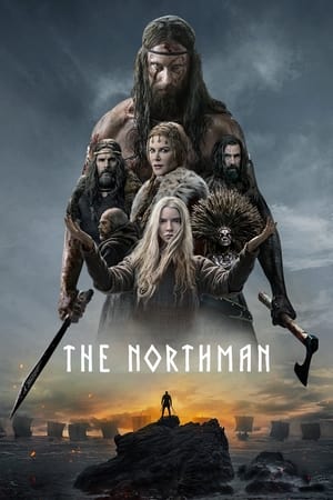 The Northman (2022) Dual Audio HDRip | Dubbed Hindi Movie – 480p