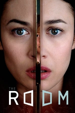 The Room 2019 Dual Audio | Dubbed Hindi Movie BluRay 300MB