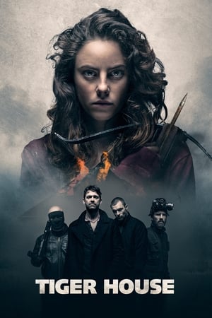 Tiger House (2015) Dual Audio | Dubbed Hindi Movie BluRay [1.2GB]